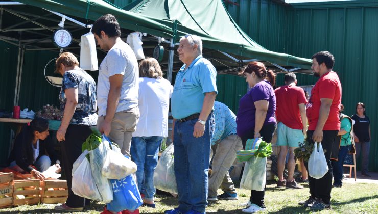 Nueva semana de ofertas en verduras, frutas y carnes