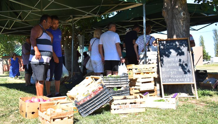 Una nueva oportunidad para aprovechar las ofertas en frutas, verduras y carnes