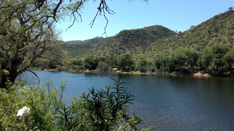 Pronosticaron un jueves caluroso, con máximas de hasta 38°C