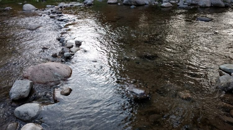 La máxima del martes llegaría a los 40°C en algunas localidades