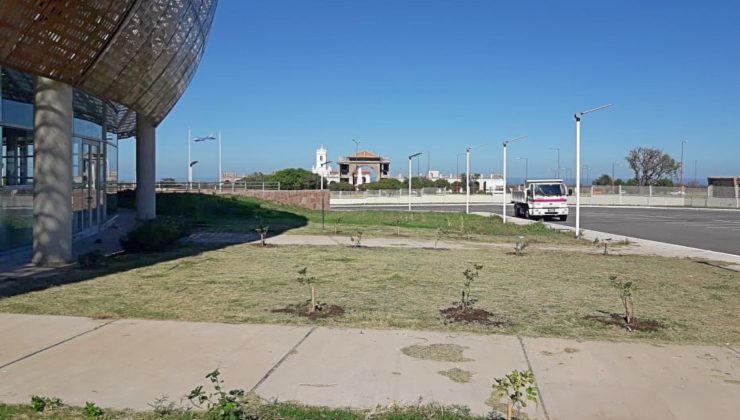 La forestación llegó al Centro de Convenciones de La Punta