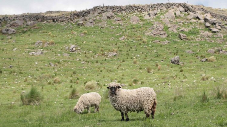 Miércoles con buenas condiciones de tiempo y leve ascenso de las temperaturas