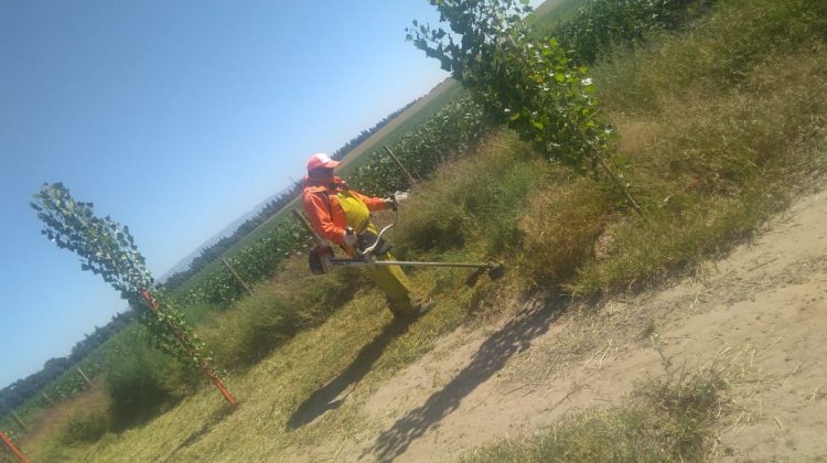 Rutas y autopistas más verdes