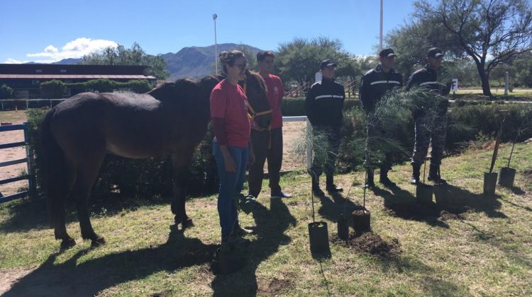 Por un planeta más verde, plantaron árboles en el Centro de Actividades Hípicas