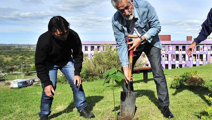 El gobernador plantó una paulownia en Terrazas del Portezuelo