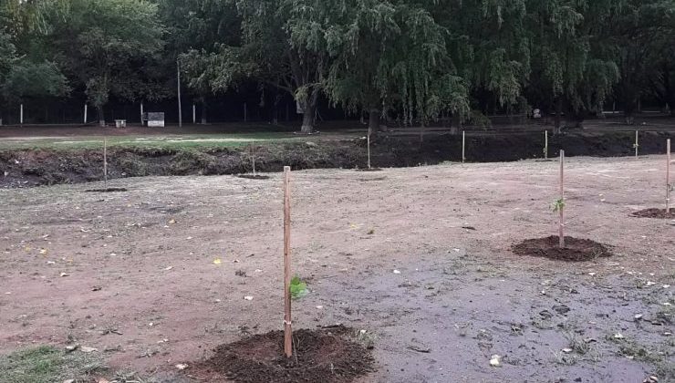 Balneario Municipal de La Toma: realizan la limpieza y forestación del predio