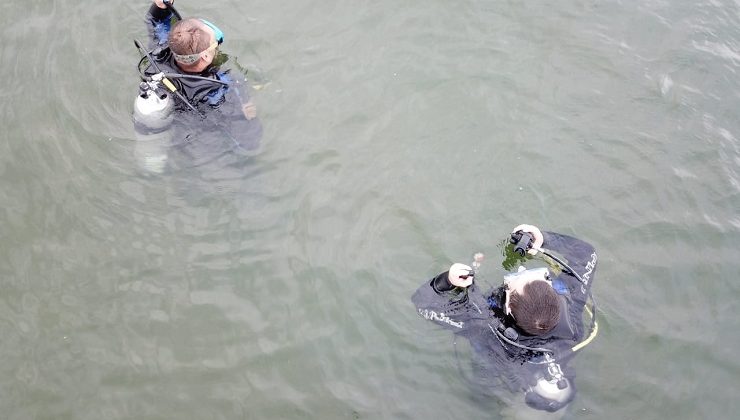 Buzos se capacitan en el espejo de agua de Villa Mercedes