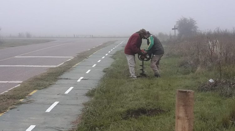 Beneficiarios del Plan de Inclusión Social forestaron el acceso de la ruta N° 31