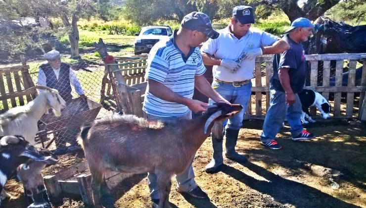 Asistencia sanitaria para pequeños productores de Donovan