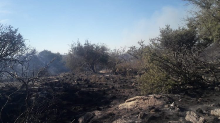 Los Molles: el incendio se encuentra en guardia de cenizas