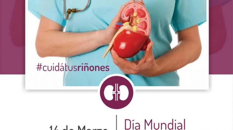 Realizan actividades de concientización sobre la salud renal en hospitales y centros de salud