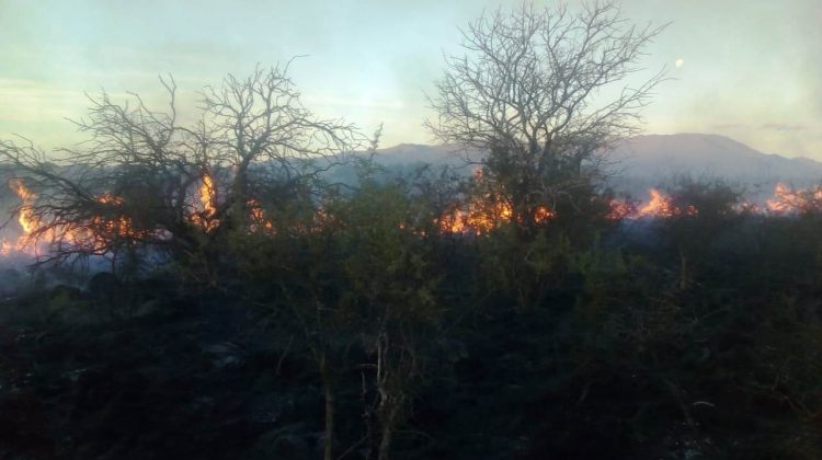Controlaron un incendio en San José del Morro