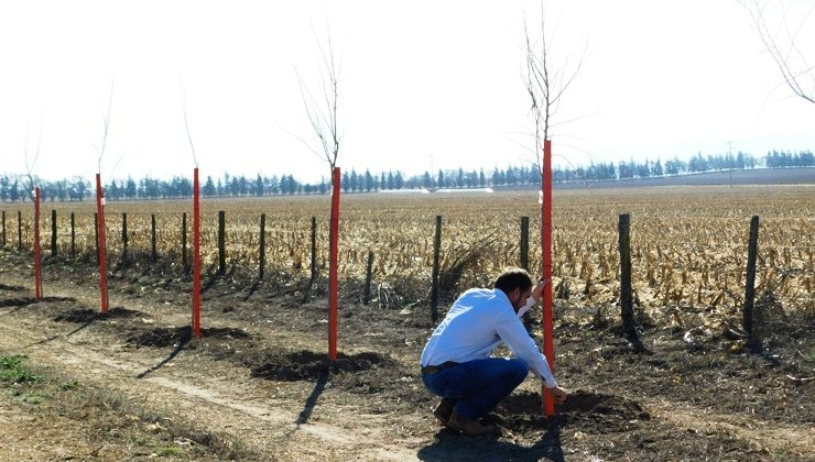 Comenzó el plan de fertilización en las autopistas y rutas puntanas