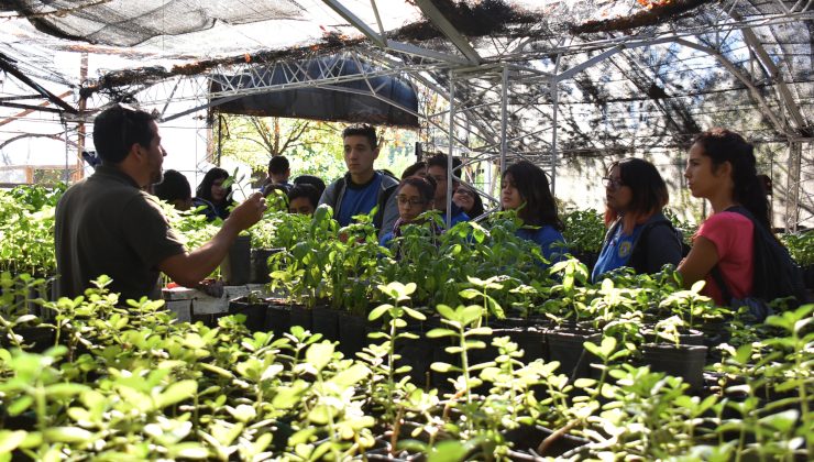 Comenzaron las visitas educativas al vivero de la cartera productiva