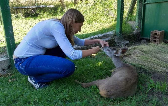 La Reserva Florofaunística, un lugar que cobija y protege a los animales autóctonos