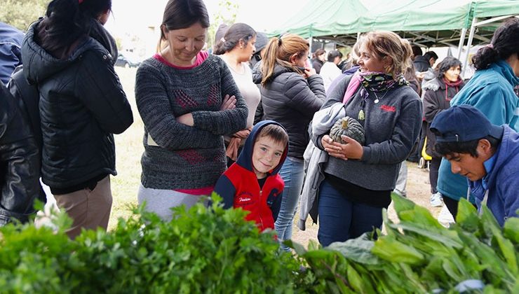 Conocé los barrios donde se venderán los productos de “Sol Puntano”