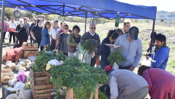 El ministro Freixes anunció que “Sol Puntano” recorrerá los barrios de la ciudad de San Luis