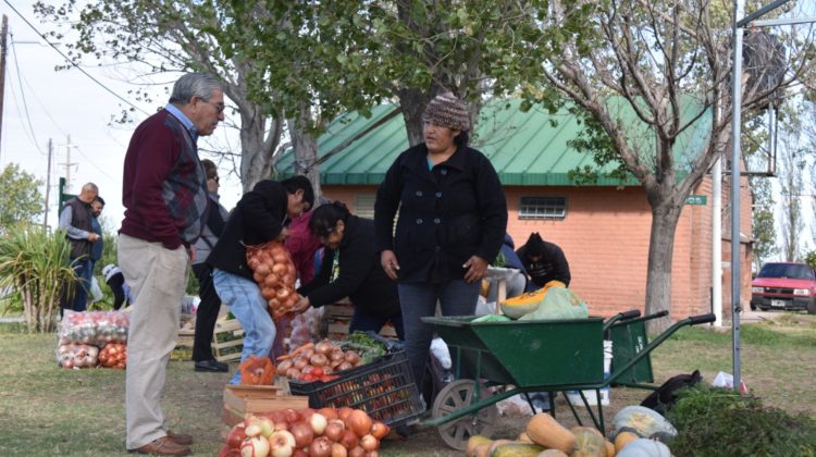 Nuevos productos y ofertas en la feria semanal de “Sol Puntano”