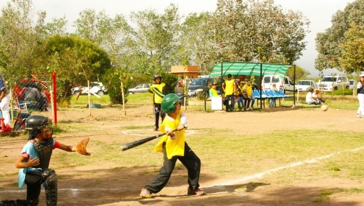 Comienza el Torneo Intercolegial de Béisbol 5