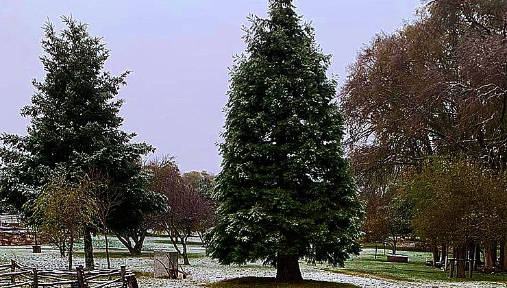 Pronóstico cumplido: nevó en San Luis por primera vez en el año