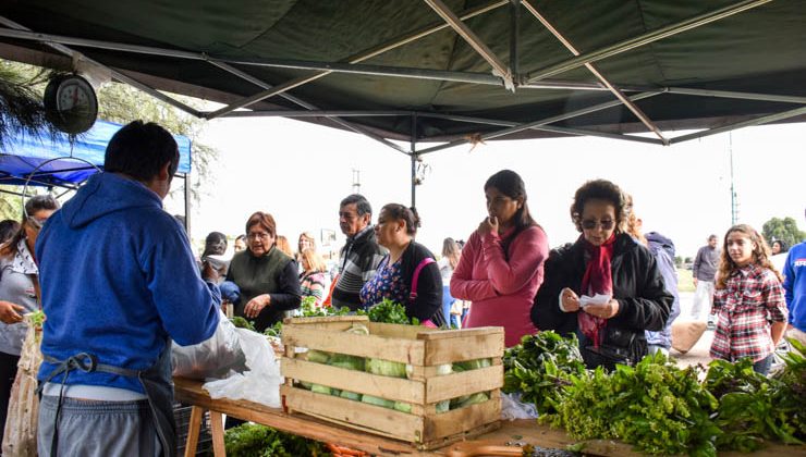 Los productos de “Sol Puntano” llegan este viernes a la calle Julio A. Roca