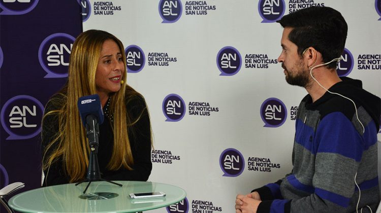 Con la presencia de bandas nacionales y locales, realizarán el “San Luis Rock”