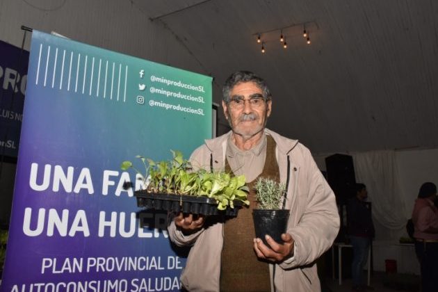 Una intensa producción de plantines permitirá cumplir con los inscriptos en el Plan “Una familia, una huerta”