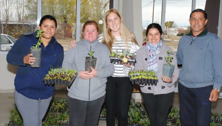 Familias de más de 12 localidades recibieron sus plantas aromáticas, árboles frutales y bandejas hortícolas