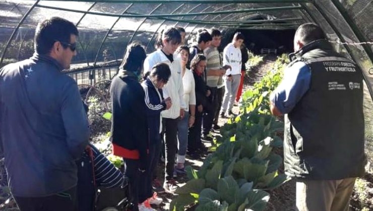 El vivero de la cartera productiva recibió dos nuevas visitas