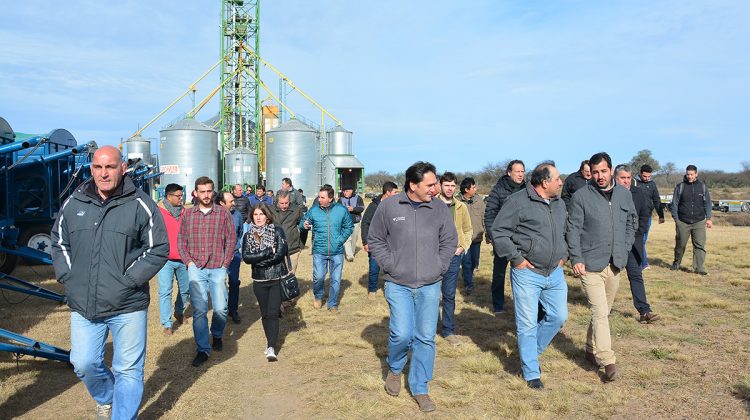 Esperan un fuerte impacto productivo, comercial y ambiental con el Plan Integral de Alfalfa