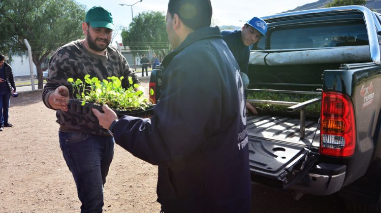 “Una familia, una huerta”: comenzó la entrega de plantines en los barrios de la ciudad de San Luis