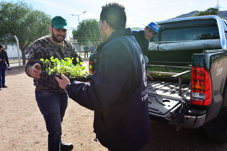 Estiman entregar 4.500 plantines en los barrios de la ciudad de San Luis.