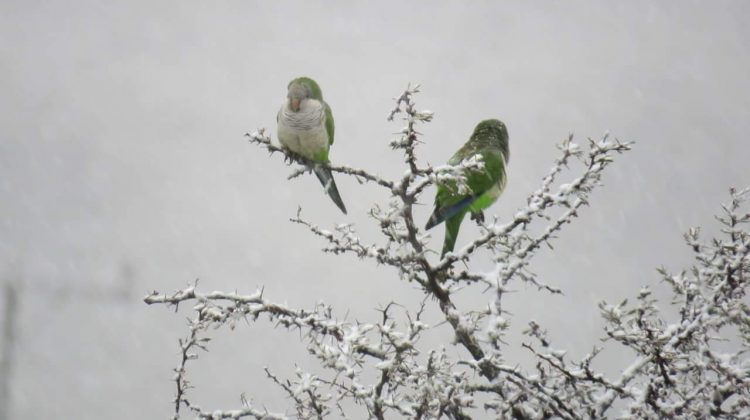 Llega un finde invernal, con probables nevadas en las zonas serranas