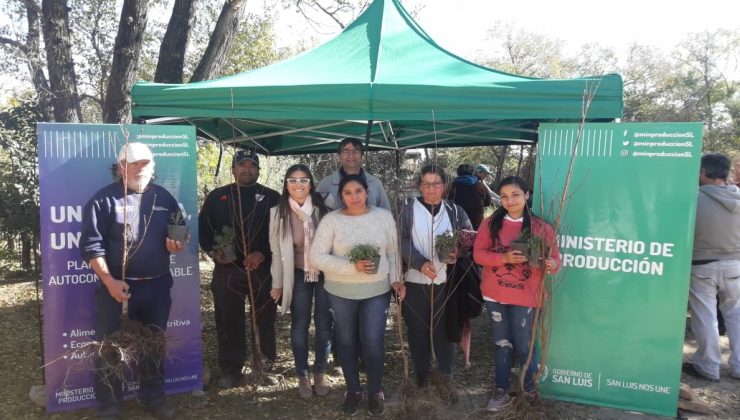 Beneficiarios de 14 localidades recibieron plantas aromáticas y frutales