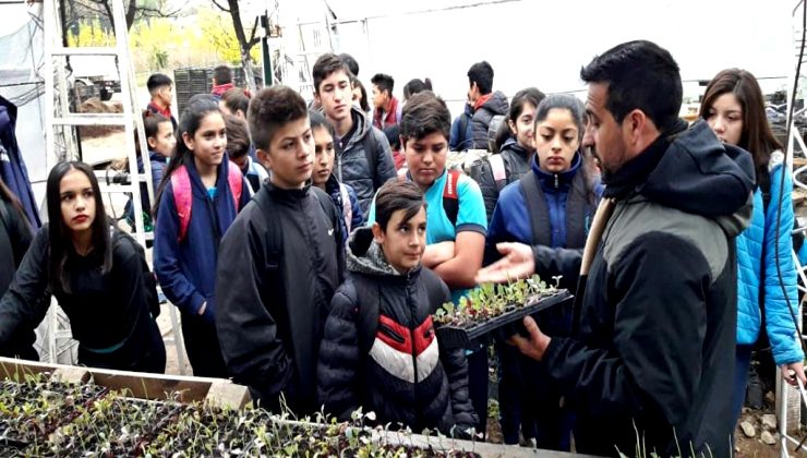 Alumnos de la Escuela “Madre Teresa de Calcuta” conocieron el vivero de la cartera productiva