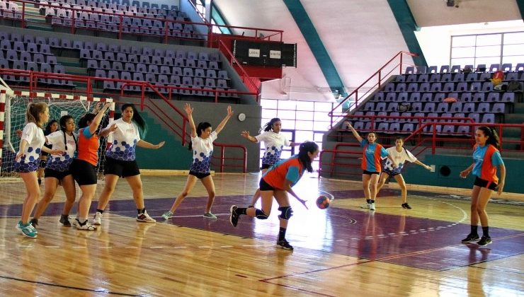 Dictarán un curso sobre la metodología del handball en el “Ave Fénix”