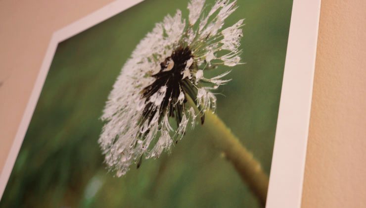 Muestra fotográfica en la Casa de las Culturas