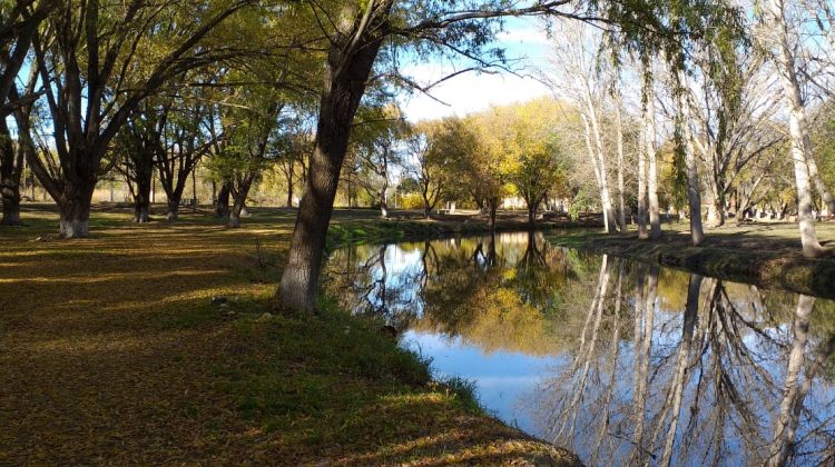 Se esperan días soleados con mañanas frías y una máxima de 20ºC