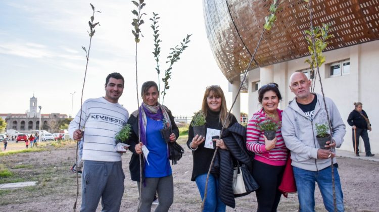 Las entregas de plantas aromáticas y árboles frutales llegan a Villa Mercedes