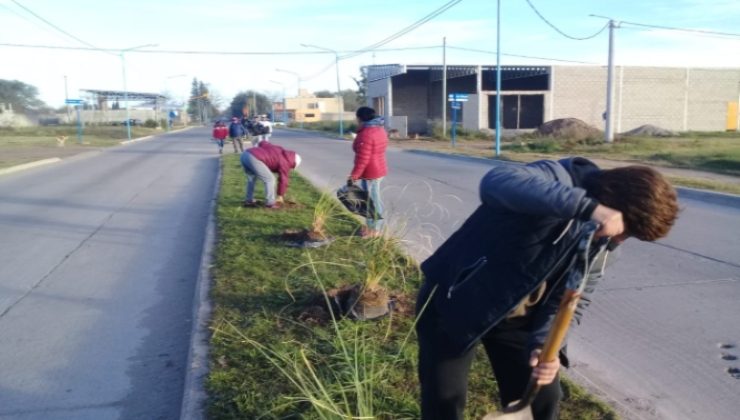 El Gobierno continúa forestando la provincia