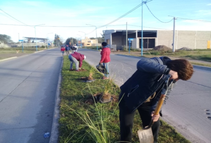 El Gobierno continúa forestando la provincia.