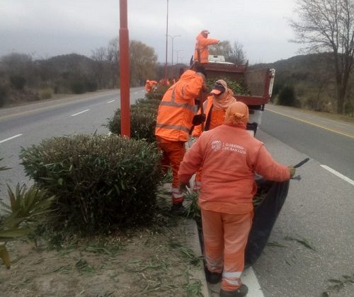 Continúan los trabajos de poda correctiva y limpieza en las rutas y autopistas provinciales