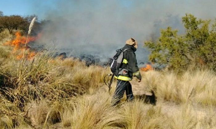 Siete dotaciones de bomberos junto a brigadistas combaten un incendio en lo alto de El Morro