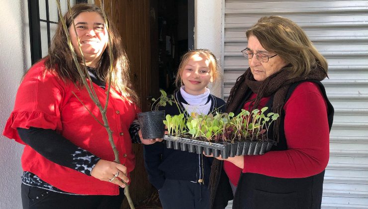 Frutales y aromáticas inician el camino de las huertas familiares