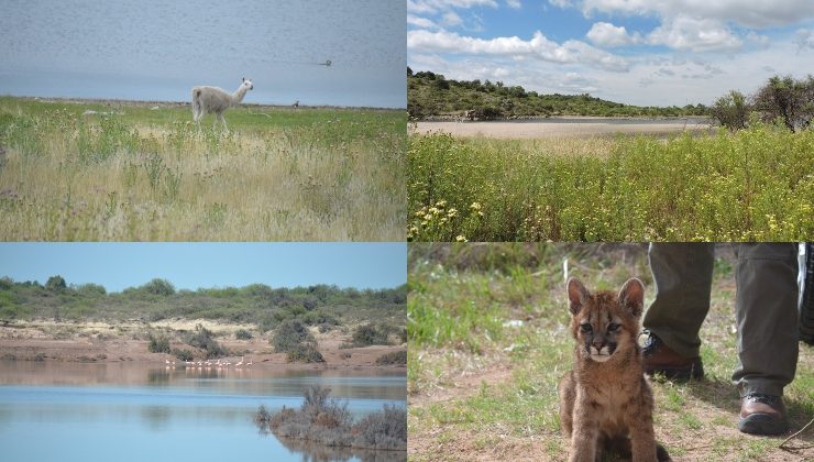 Las Áreas Naturales Protegidas, una propuesta ambiental para las vacaciones de invierno