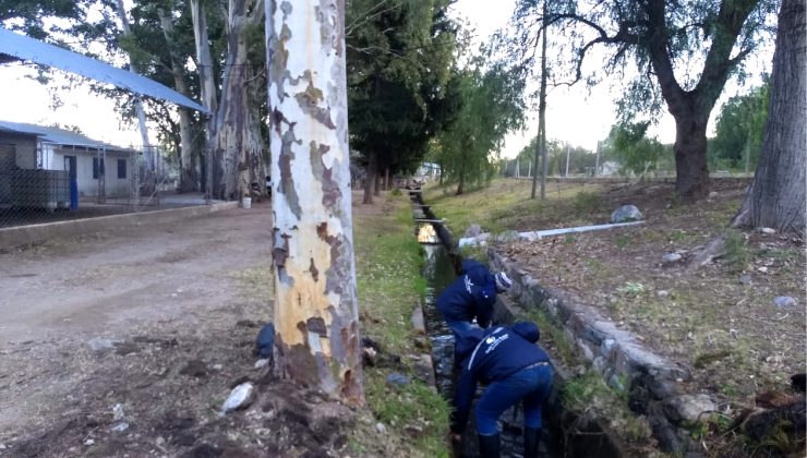 Realizaron trabajos de desobstrucción y limpieza en el Canal Matriz de Nogolí