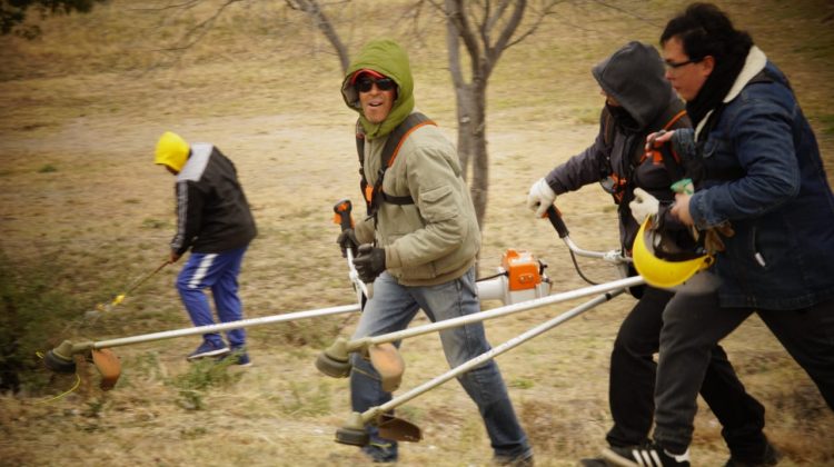 Realizaron una nueva maratón de trabajo para embellecer el Parque IV Centenario