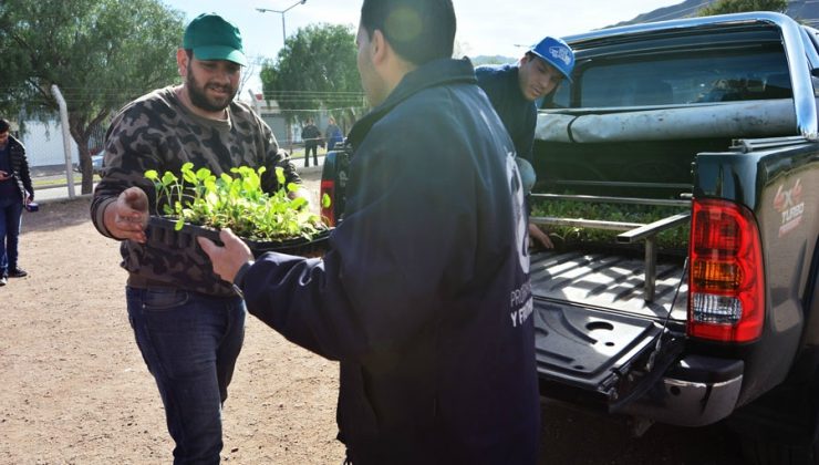 “Una familia, una huerta”: se vienen nuevas entregas en Villa Mercedes y en San Martín