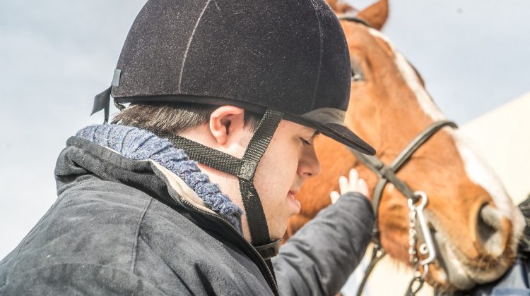 El sector equino, corazón del Parque, ya comenzó a “latir”