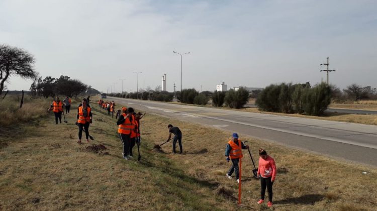 El Plan de Parquización contribuye al cuidado del medioambiente